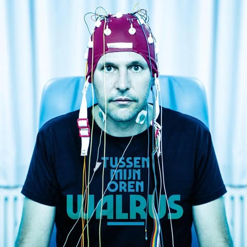 247438751_381322540164167_4885385016363623003_n